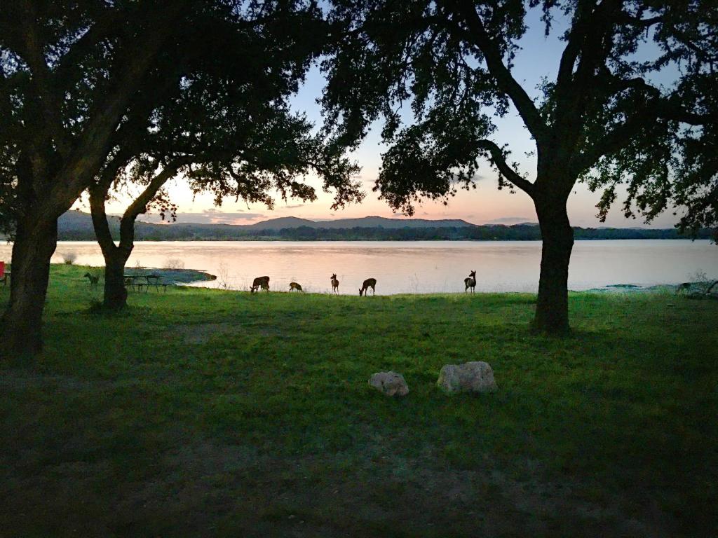 Medina Lake Camping Resort Cabin 4 image 9